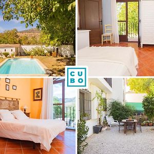 Habitación Cuádruple